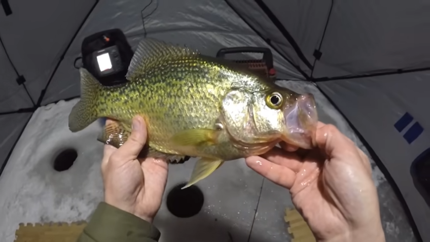 CRAPPIE